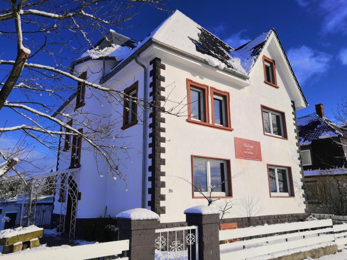 Villa Kopp-Das Gaestehaus Hopfingen 外观 照片